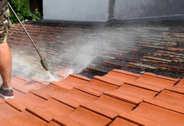 Best Pressure Washing Company Near Me  in West Unity, OH