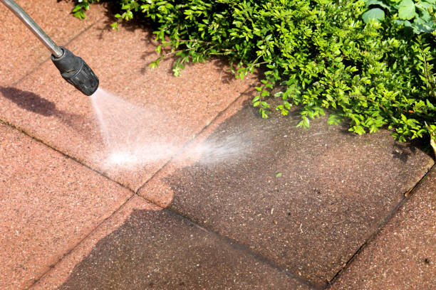 Best Pressure Washing Company Near Me  in West Unity, OH